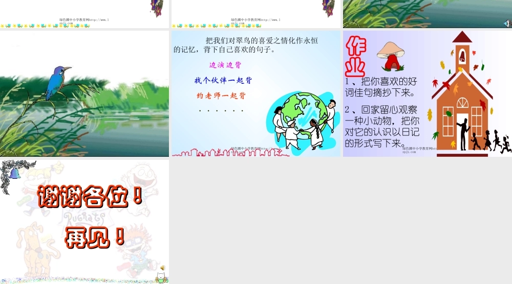人教版小学三年级下册语文翠鸟教学PPT课件