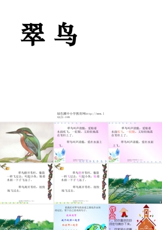 人教版小学三年级下册语文翠鸟教学PPT课件