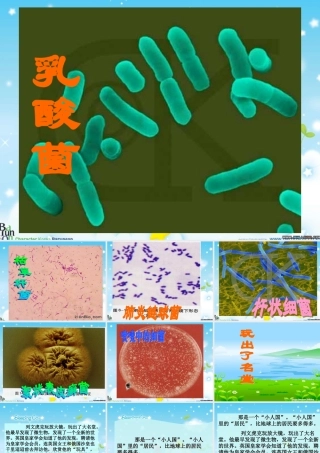 玩出了名堂课件 
