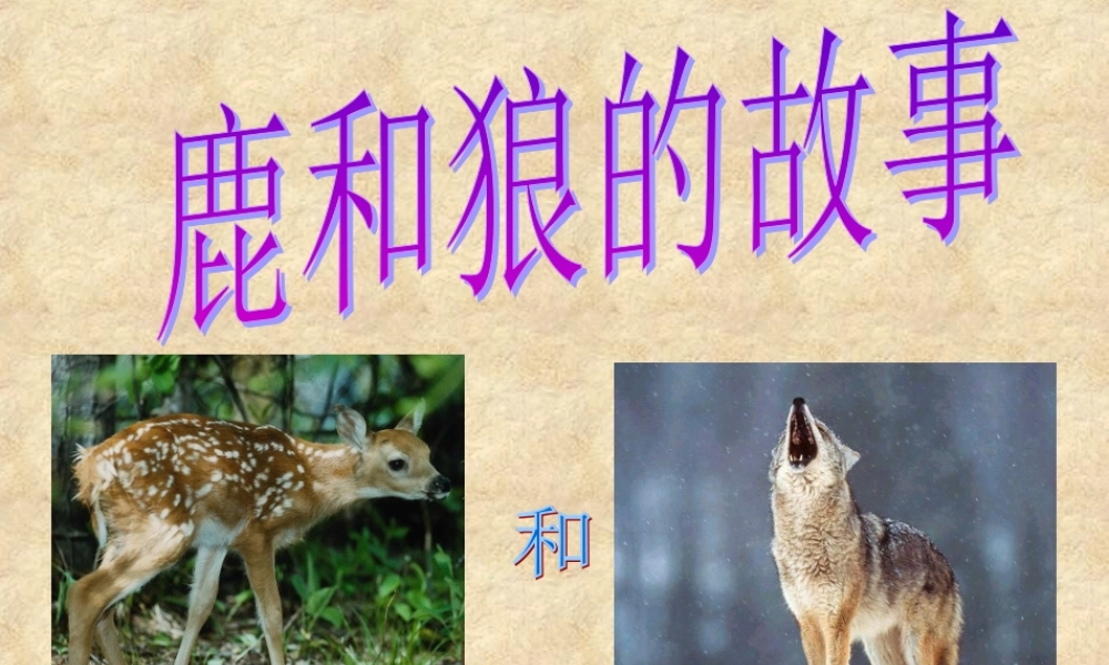 《鹿和狼的故事》课件2[1]