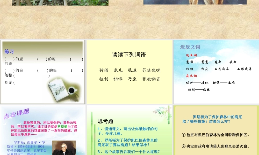 《鹿和狼的故事》课件2[1]