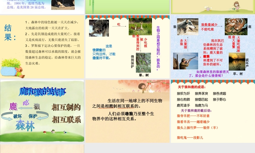 《鹿和狼的故事》课件2[1]