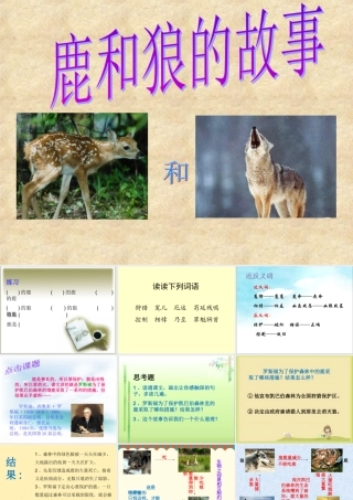 《鹿和狼的故事》课件2[1]