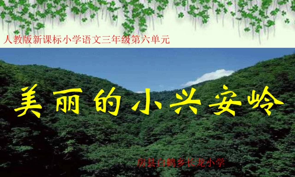 小学三年级语文美丽的小兴安岭