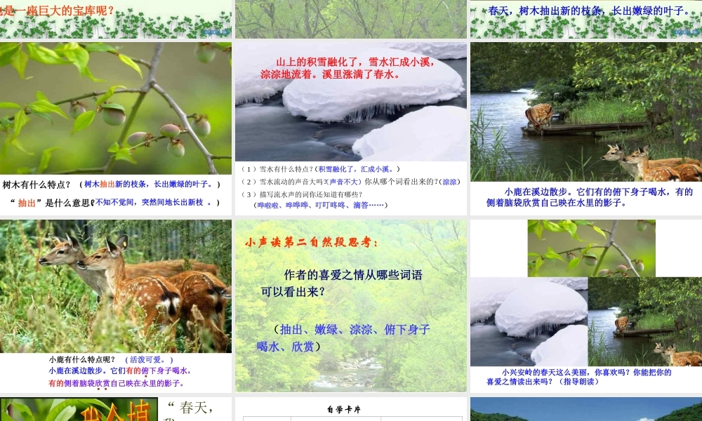 小学三年级语文美丽的小兴安岭