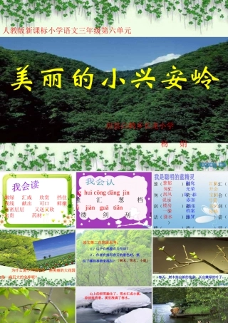 小学三年级语文美丽的小兴安岭