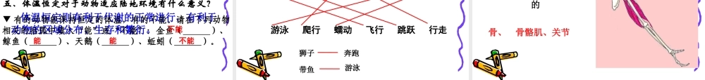 八年级上册生物第五单元1-3章复习