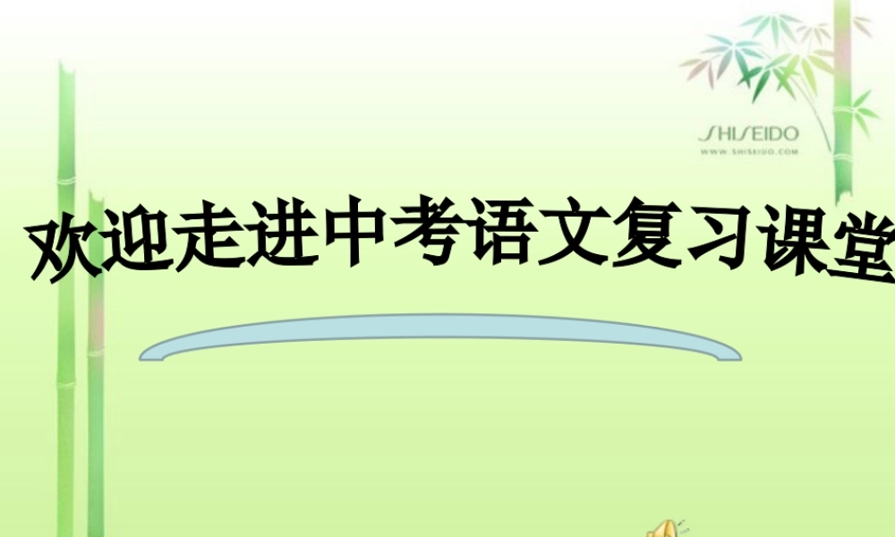 中考议论文复习