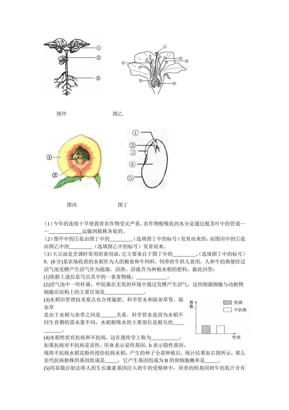 十月月考试卷_第3页