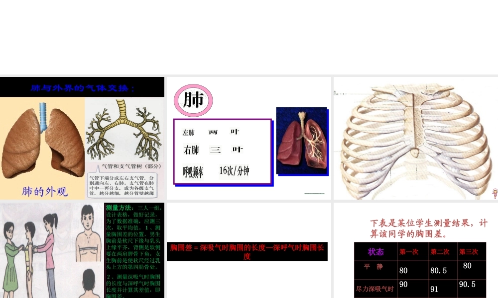《发生在肺内的气体交换》第一课时参考课件