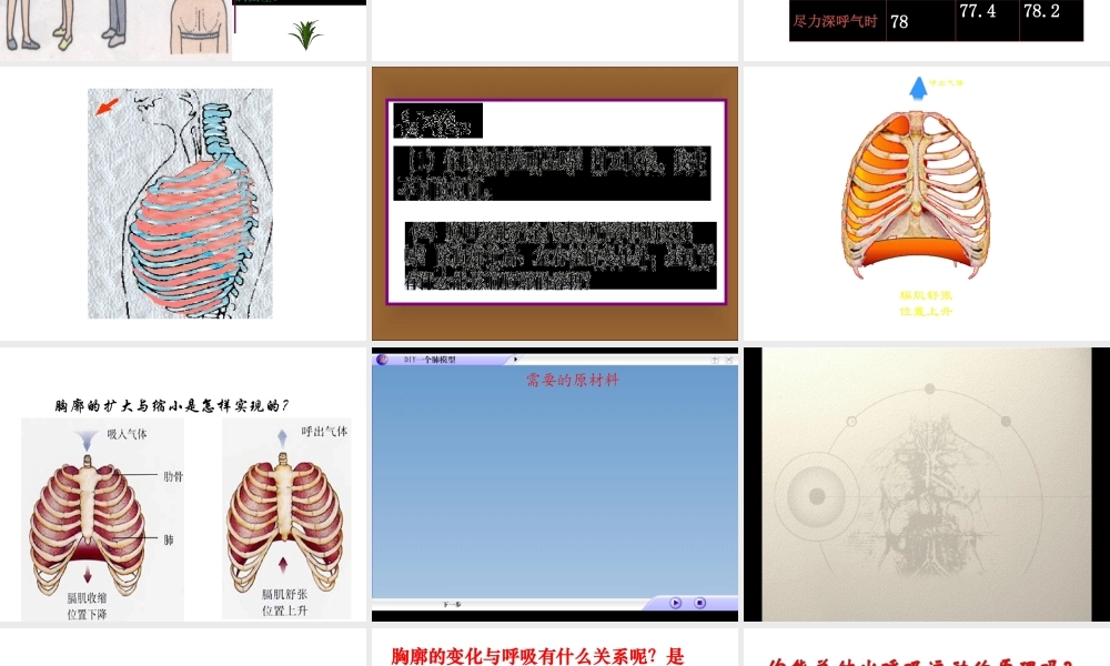 《发生在肺内的气体交换》第一课时参考课件