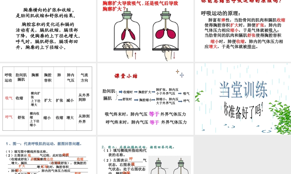 《发生在肺内的气体交换》第一课时参考课件