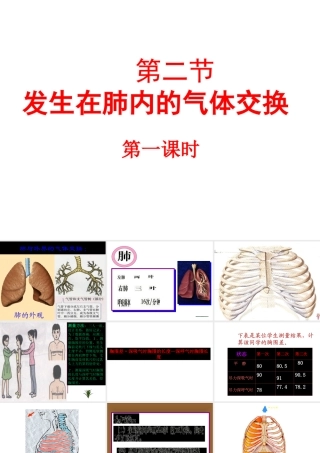 《发生在肺内的气体交换》第一课时参考课件