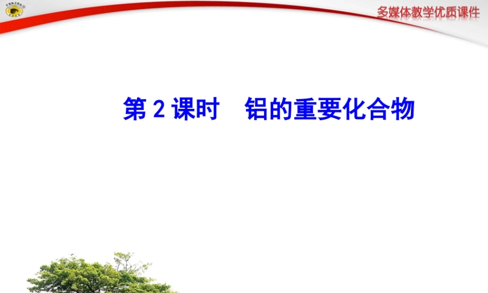 高中必修一第2课时铝的重要化合物