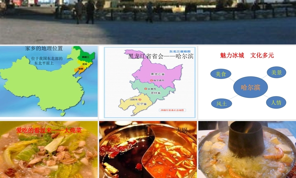 美丽哈尔滨课件