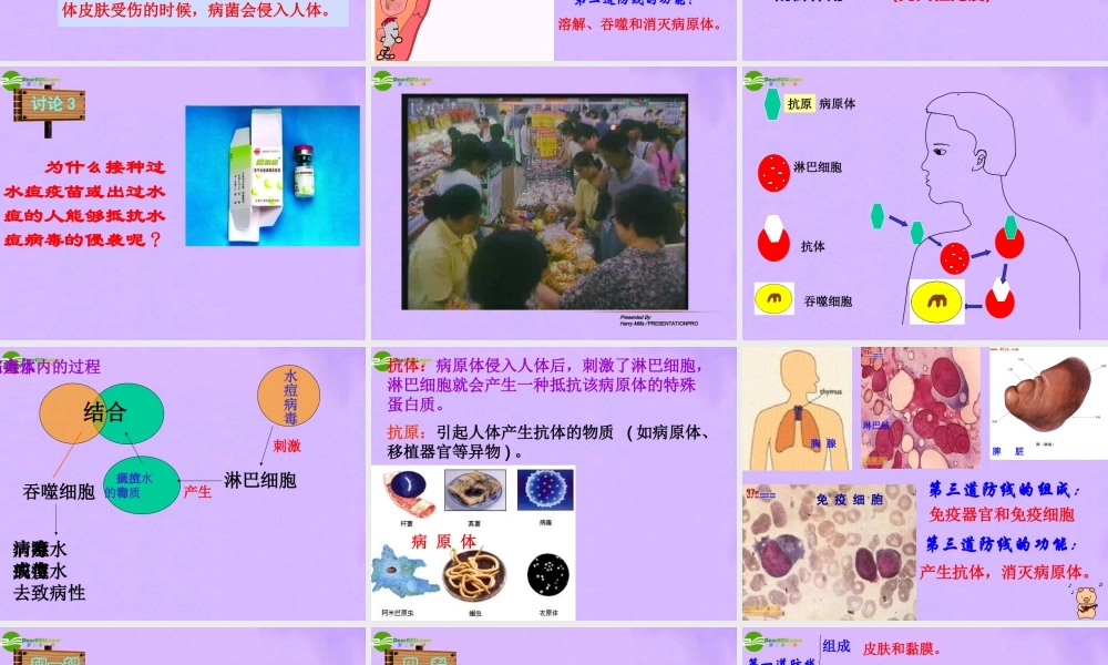 八年级生物下册_第二节_免疫与计划免疫课件_人教新课标版