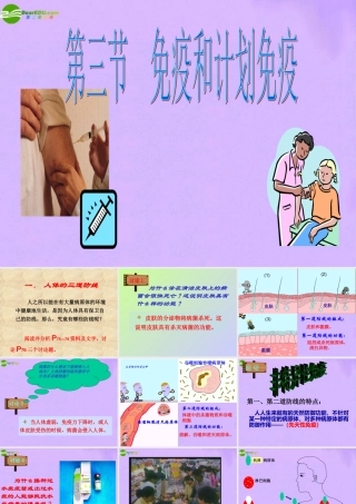 八年级生物下册_第二节_免疫与计划免疫课件_人教新课标版