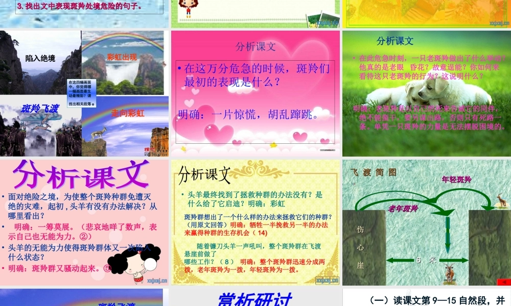 《斑羚飞渡》牛志芹2013529