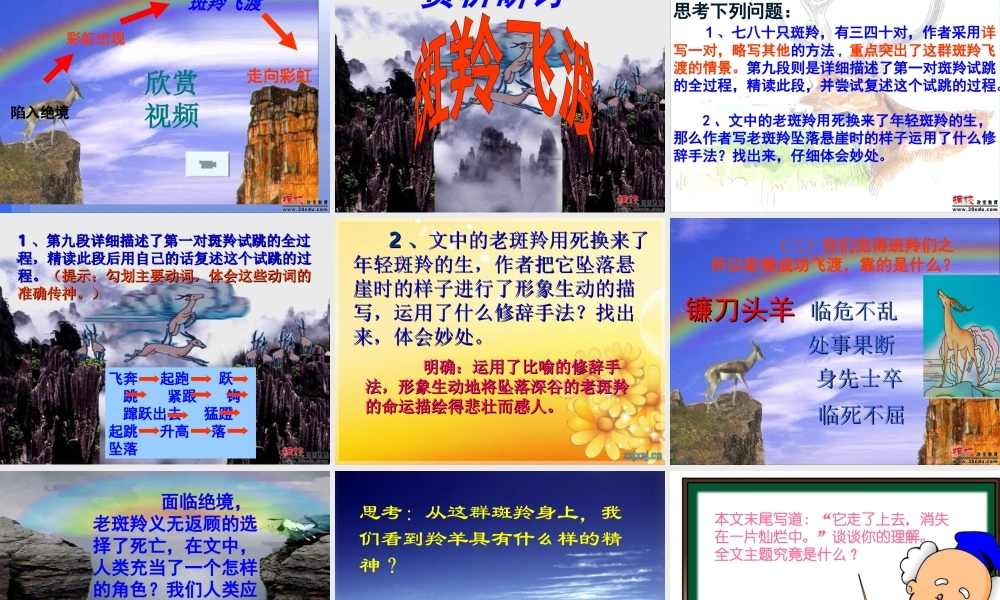 《斑羚飞渡》牛志芹2013529