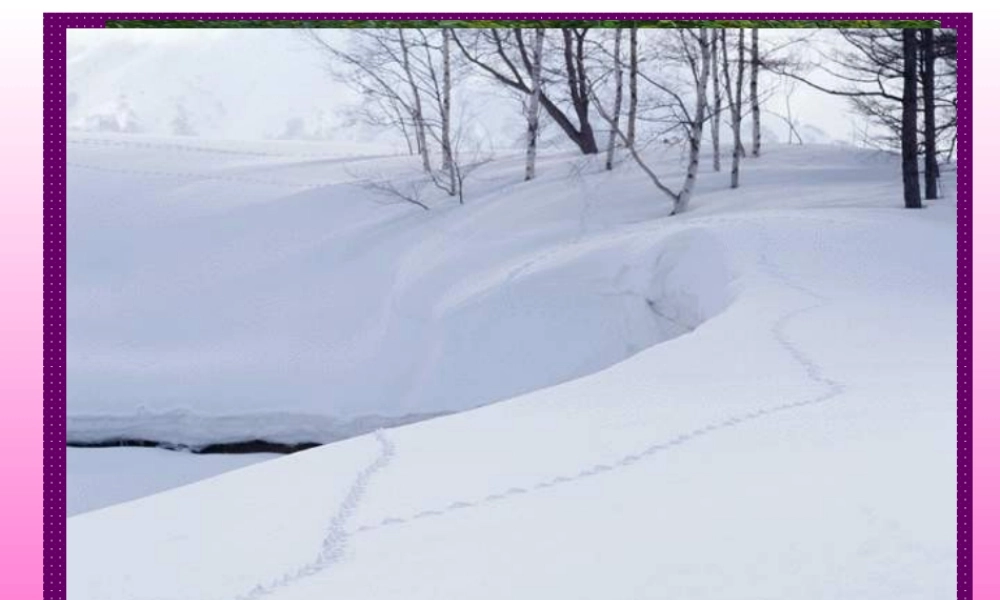 美丽的小兴安岭正