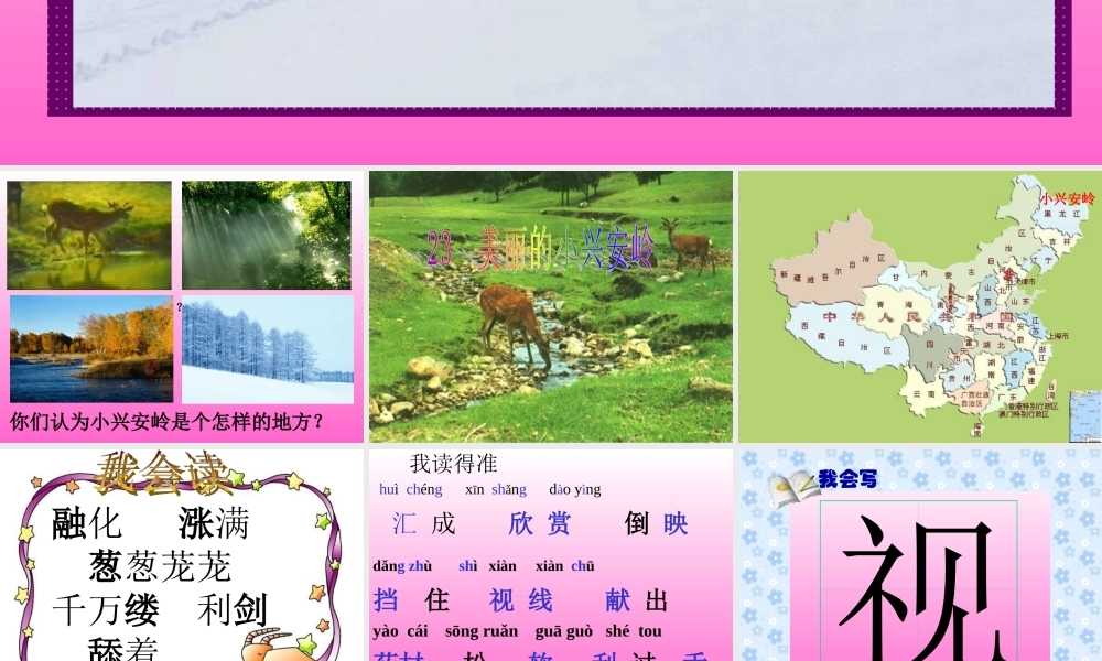 美丽的小兴安岭正