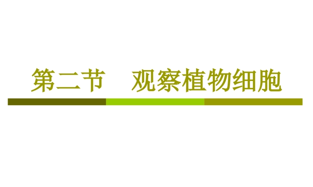 七年级上册生物观察植物细胞