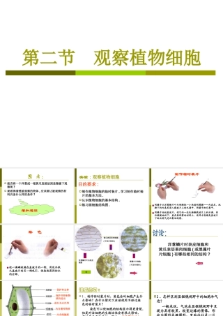 七年级上册生物观察植物细胞