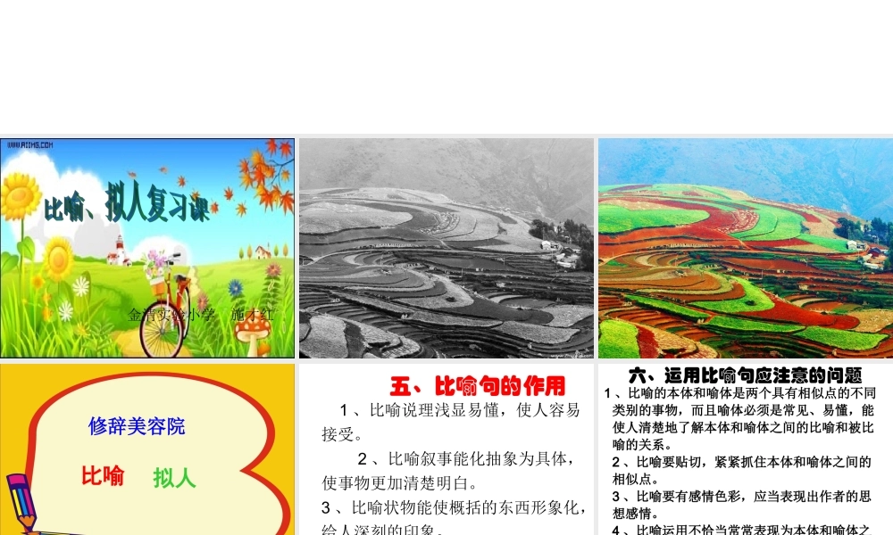 比喻、拟人的复习1