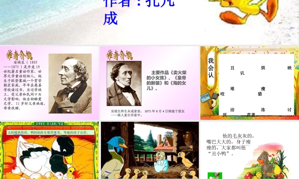 丑小鸭PPT课件 