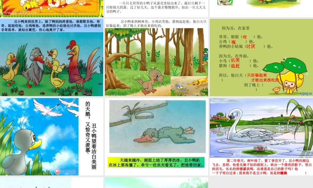 丑小鸭PPT课件 