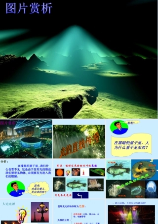 光的直线传播人教版