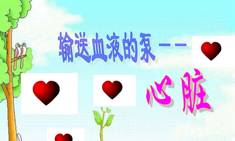 七年级生物下册：第四单元第四章第三节输送血液的泵——心脏课件1（人教新课标版）