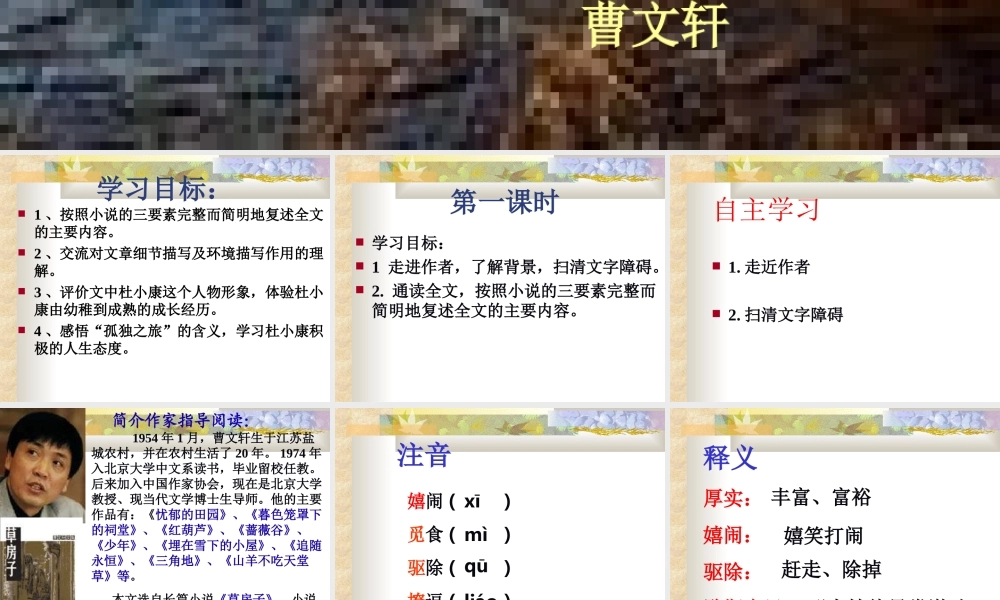 孤独之旅课件