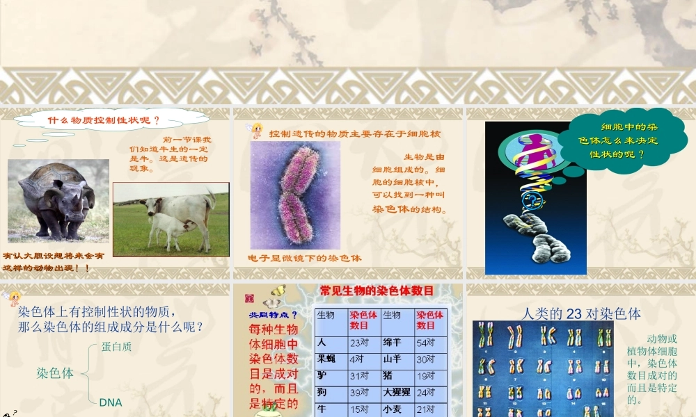 性状遗传的物质基础