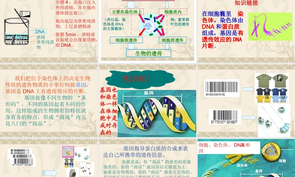 性状遗传的物质基础