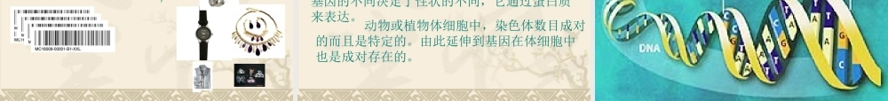 性状遗传的物质基础