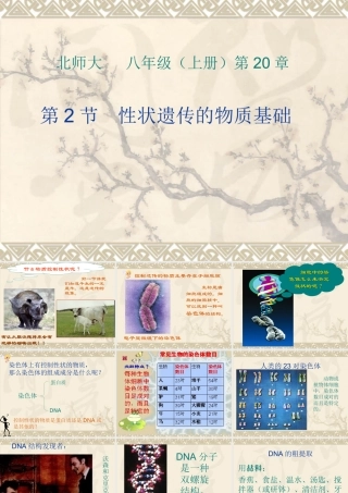 性状遗传的物质基础