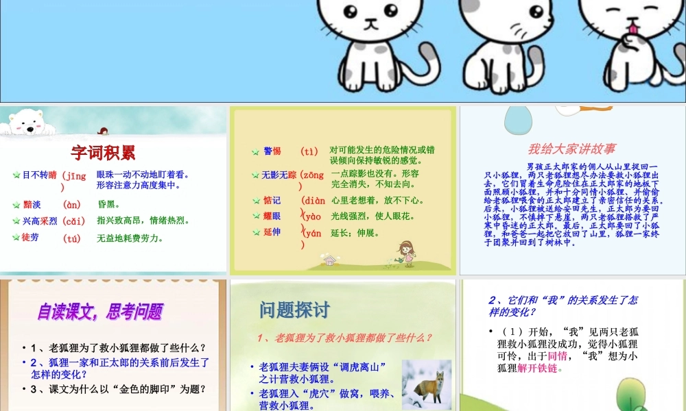 《金色的脚印》课件1[1]