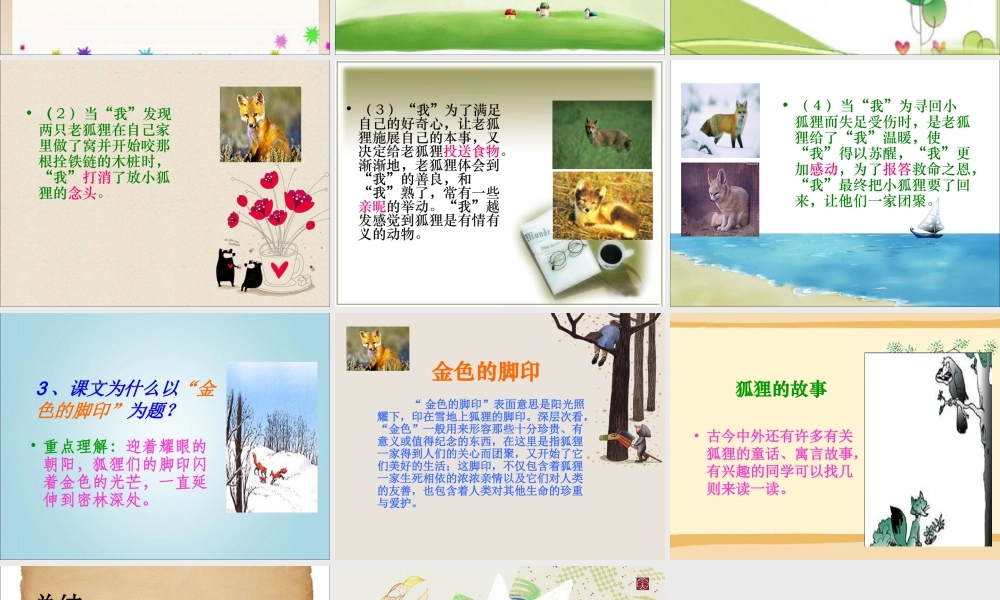 《金色的脚印》课件1[1]