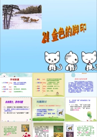 《金色的脚印》课件1[1]