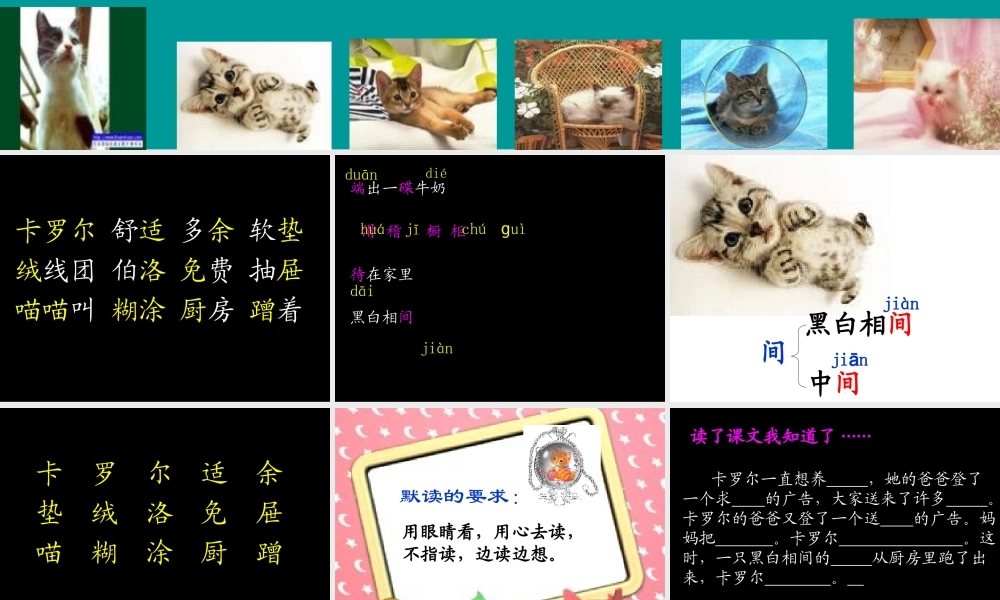 卡罗尔和她的小猫 (2)