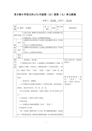 《最后一头战象》第二课时[]