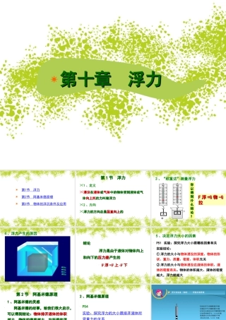 新人教版物理八下第十章浮力复习课件