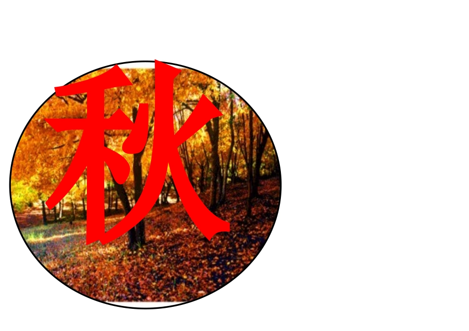 春、夏、秋、冬_第3页