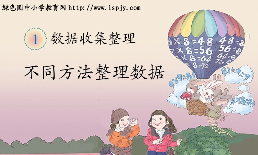 不同方法整理数据PPT (3)