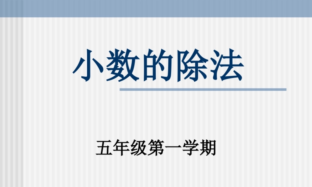 除数是小数的除法专项练习