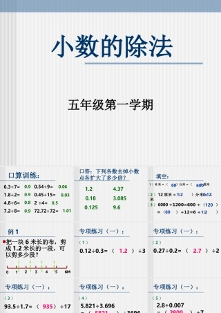 除数是小数的除法专项练习