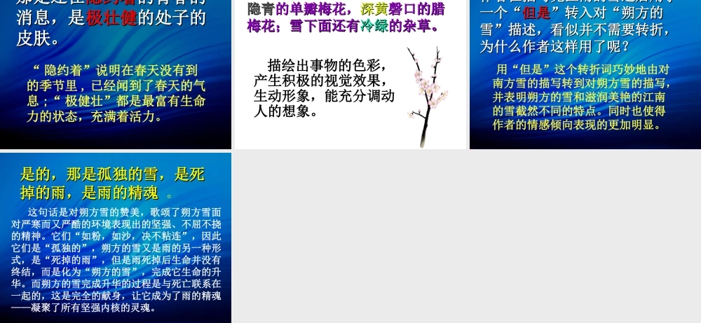 鲁迅《雪》课件（精品推荐）