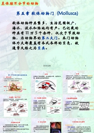 软体动物和节肢动物门