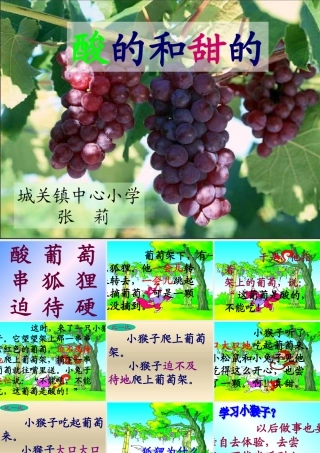 酸的和甜的 (4)